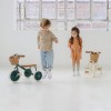 Banwood Rowerek trójkołowy Trike Dark Green 2