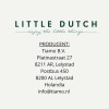 Rowerek trójkołowy biegowy 4w1 z rączką Sunny Flower Little Dutch 16