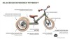 Rowerek trójkołowy biegowy 2w1 szary matowy Trybike 7