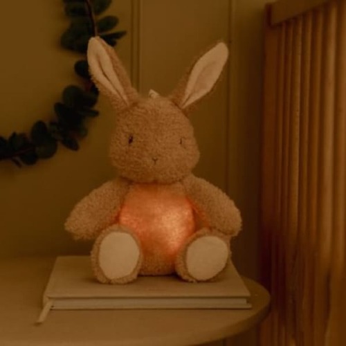 Królik interaktywny Newborn Naturals Little Dutch 1