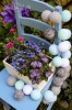Cotton Balls - HOME ON THE HILL 2