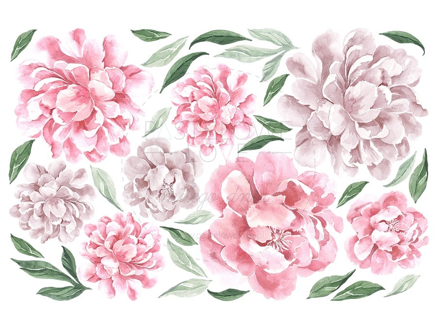 Naklejka na ścianę - piwonie różowe kwiaty 2