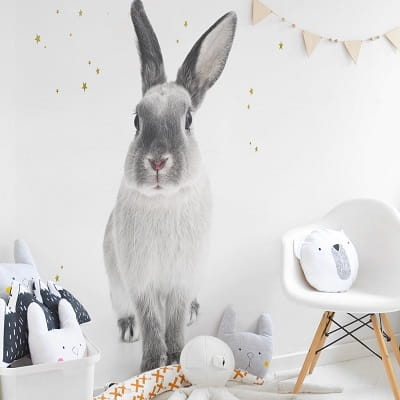 Naklejka na ścianę Królik Harry