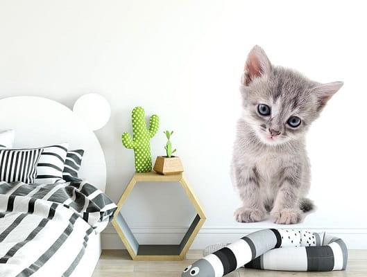 Naklejka na ścianę - kotek 3