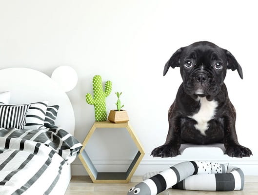 Naklejka na ścianę - piesek