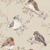 Tapeta dziecięca Birds Beige Ptaszki 1