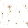 Tapeta dziecięca Dandelions Mlecze 2
