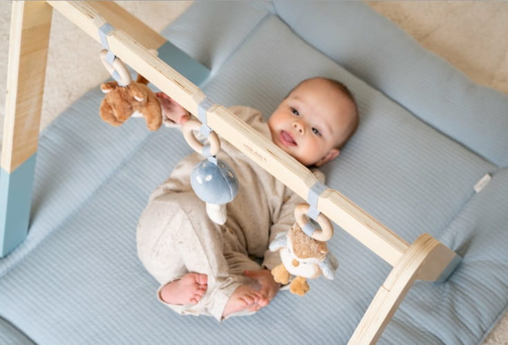 Baby gym stojak palak